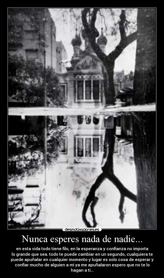 Nunca esperes nada de nadie... - en esta vida todo tiene filo, en la esperanza y confianza no importa
lo grande que sea. todo te puede cambiar en un segundo, cualquiera te
puede apuñalar en cualquier momento y lugar es solo cosa de esperar y
confiar mucho de alguien a mi ya me apuñalaron espero que no te lo
hagan a ti...