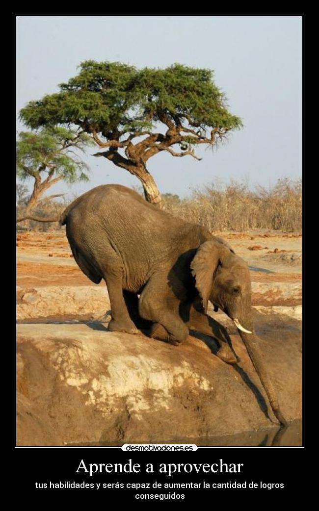 carteles eften desmotivaciones