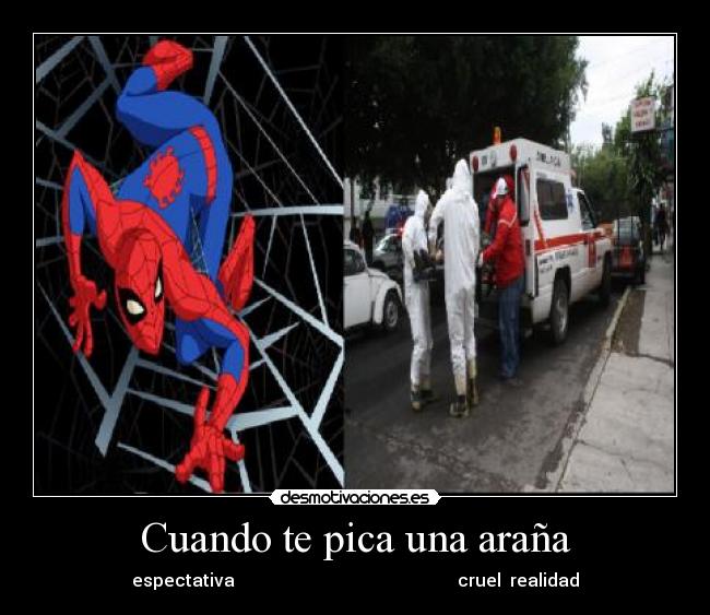 Cuando te pica una araña - espectativa cruel realidad