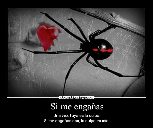 Si me engañas - Una vez, tuya es la culpa.
Si me engañas dos, la culpa es mía.