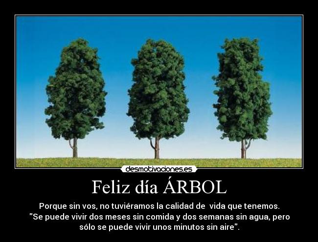 Feliz día ÁRBOL -