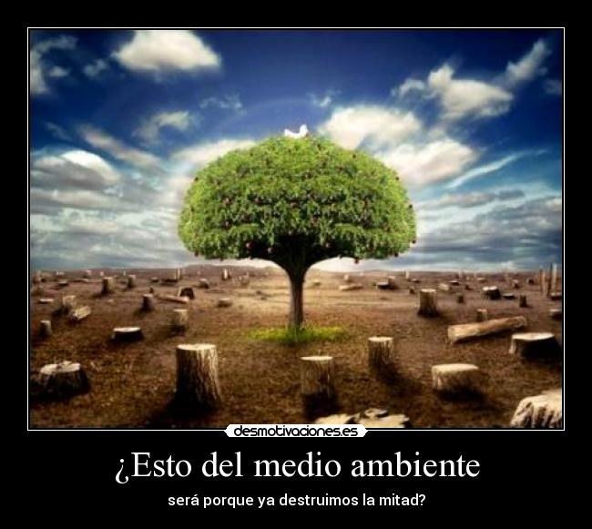 ¿Esto del medio ambiente -