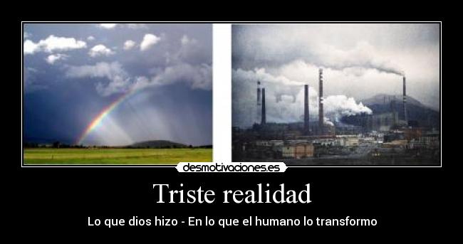 Triste realidad -