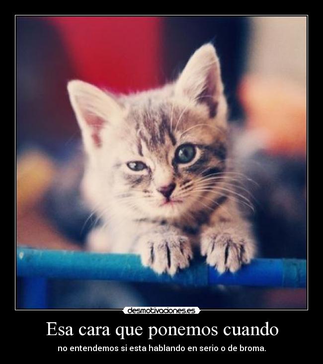 Esa cara que ponemos cuando - 