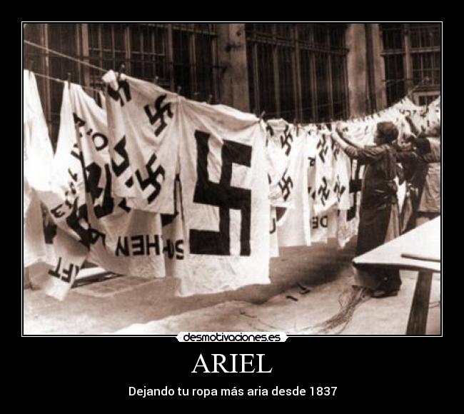 carteles por que borrais este cartel fiveofive ariel nazi esvastica jews allowes desmotivaciones