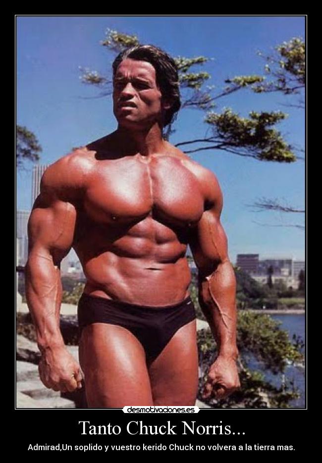 carteles arnold desmotivaciones