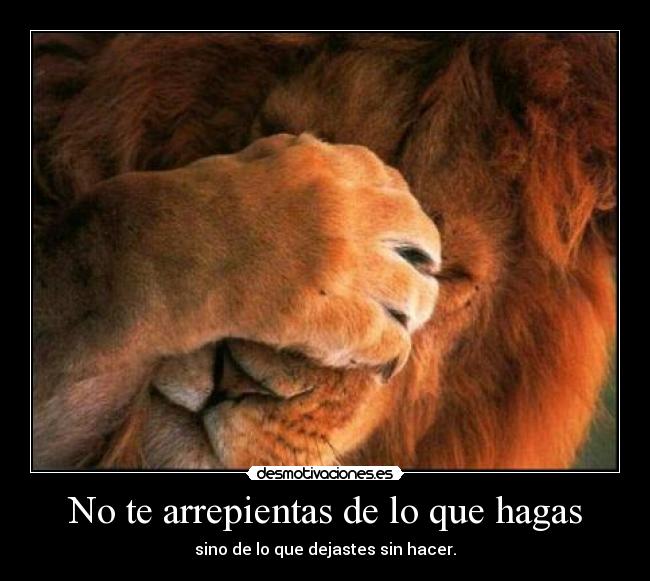 No te arrepientas de lo que hagas - sino de lo que dejastes sin hacer.