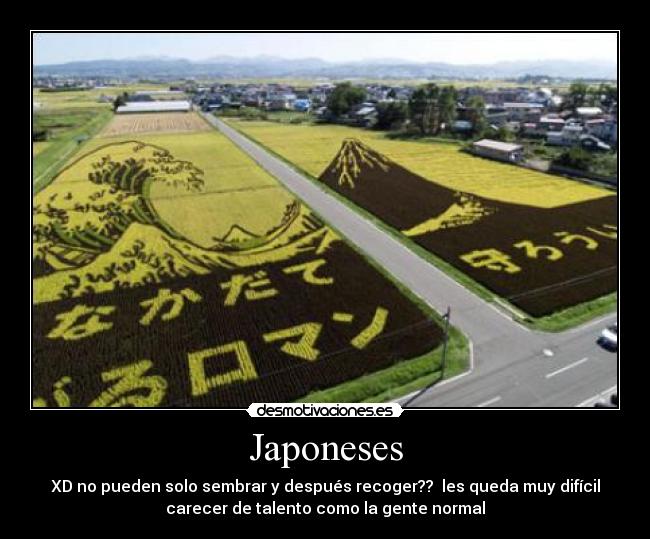 Japoneses - XD no pueden solo sembrar y después recoger?? les queda muy difícil
carecer de talento como la gente normal