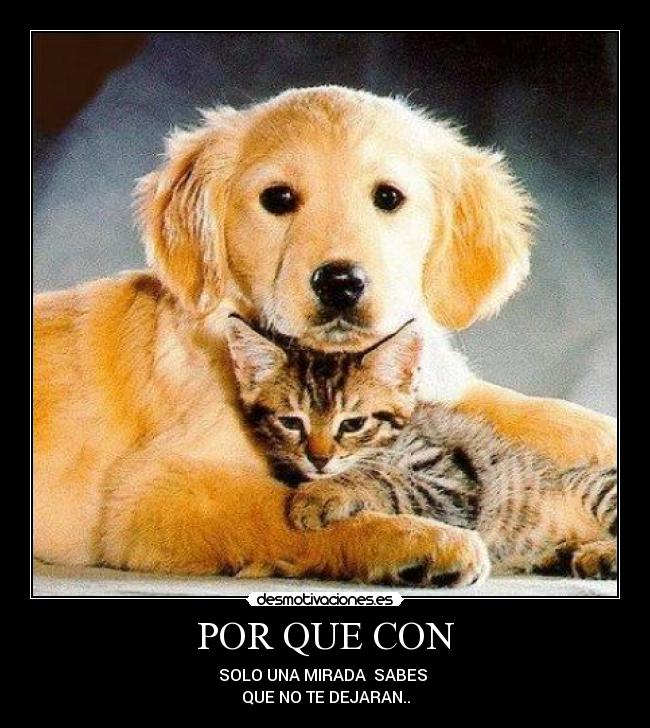 POR QUE CON - SOLO UNA MIRADA SABES
QUE NO TE DEJARAN..