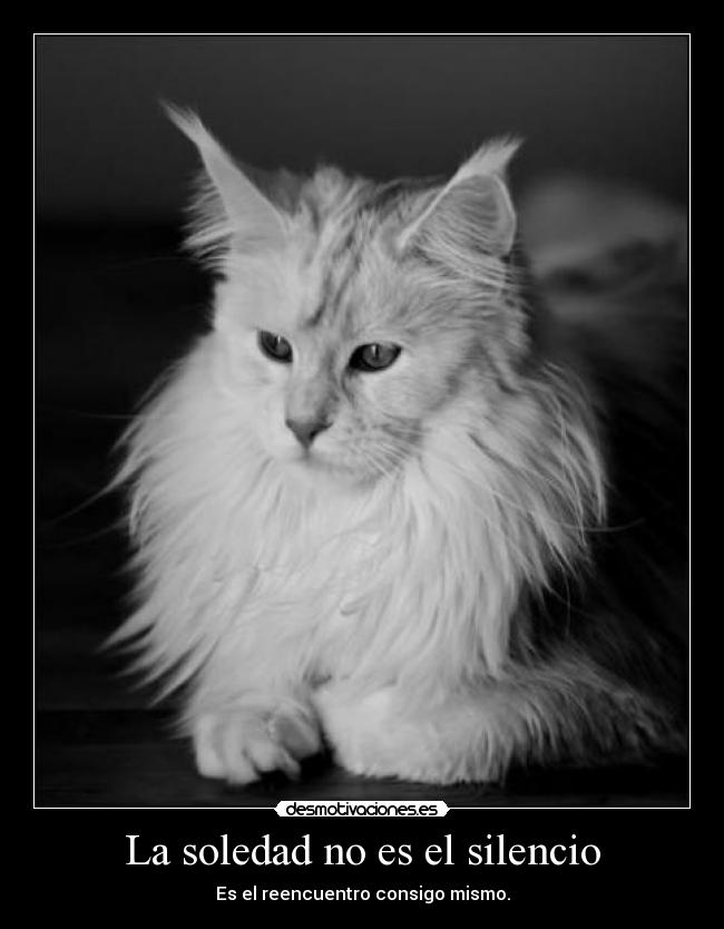 La soledad no es el silencio -