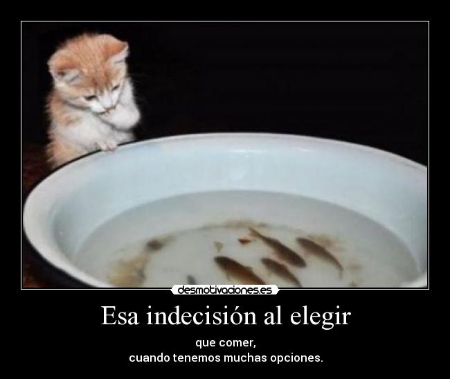 Esa indecisión al elegir - que comer,
cuando tenemos muchas opciones.