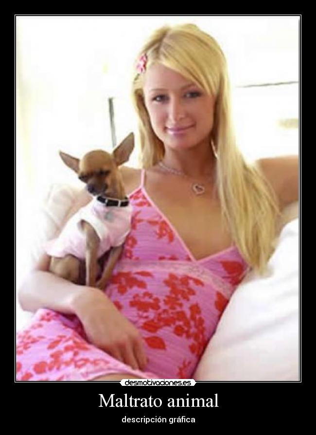 carteles puta desmotivaciones