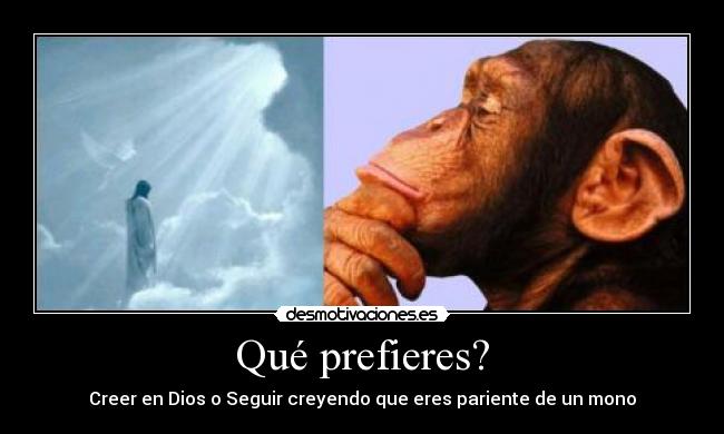 Qué prefieres? - Creer en Dios o Seguir creyendo que eres pariente de un mono
