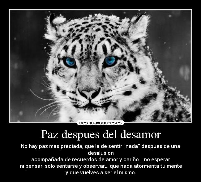 Paz despues del desamor - No hay paz mas preciada, que la de sentir nada despues de una desiilusion
acompañada de recuerdos de amor y cariño... no esperar
ni pensar, solo sentarse y observar... que nada atormenta tu mente
y que vuelves a ser el mismo.