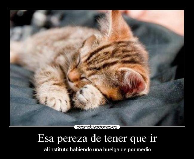 Esa pereza de tener que ir - al instituto habiendo una huelga de por medio