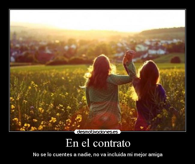 En el contrato - 