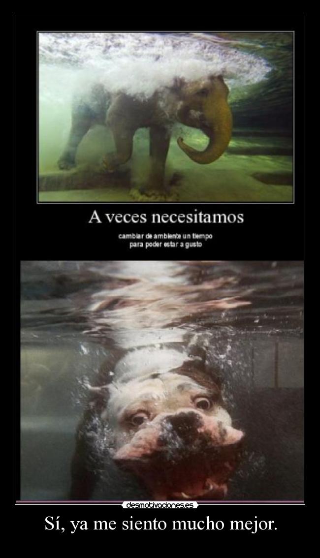 carteles symsmm desmotivaciones