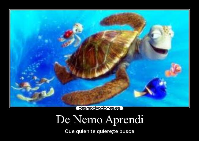 De Nemo Aprendi -