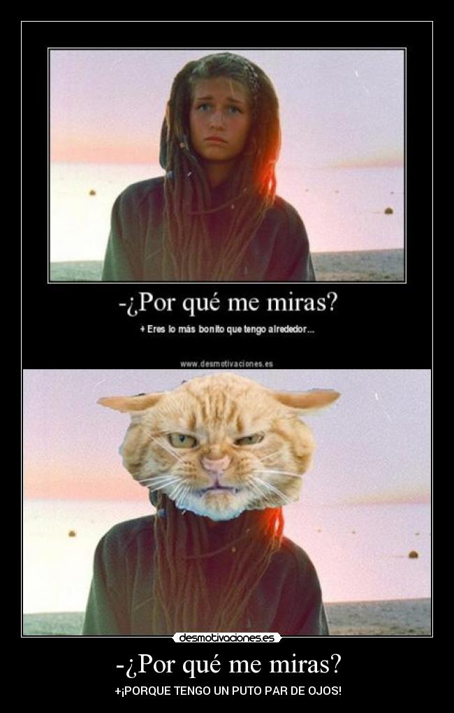 -¿Por qué me miras? - 