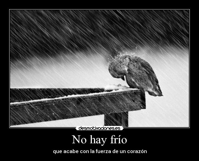 carteles dreadk menos que sea lomo saltado frio nomiresaqui simiresaqui desmotivaciones