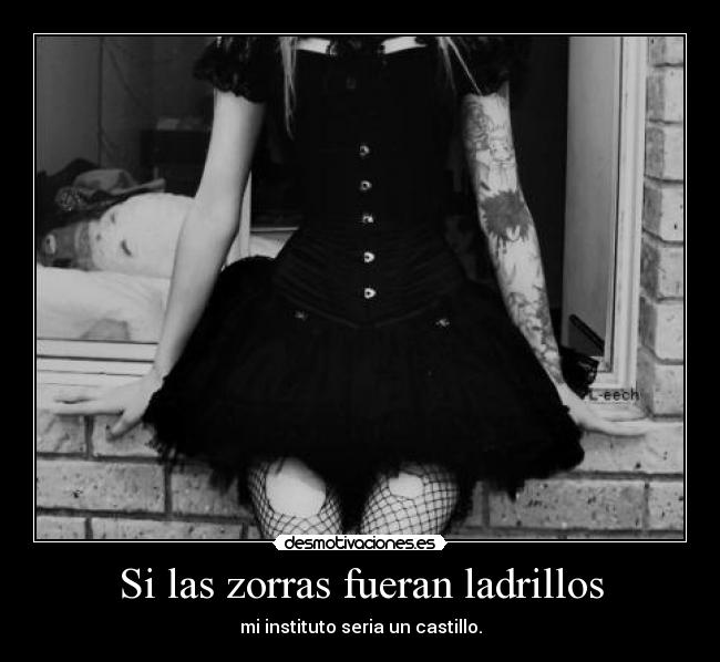 Si las zorras fueran ladrillos - 