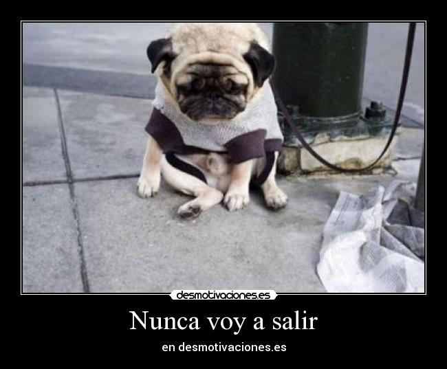 Nunca voy a salir -