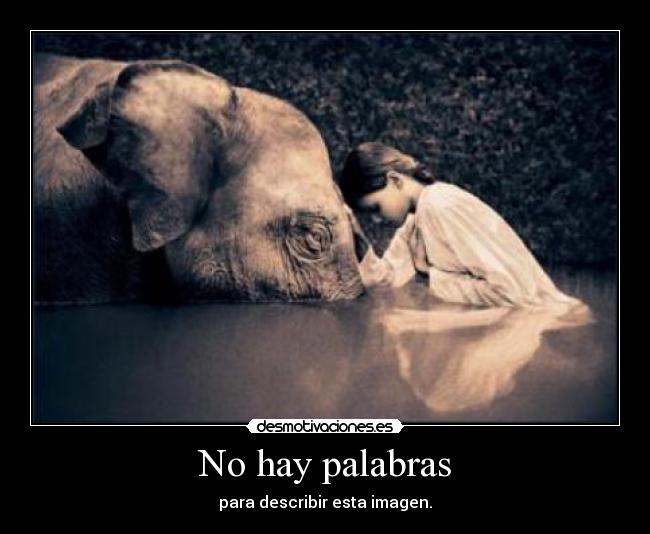 No hay palabras - para describir esta imagen.