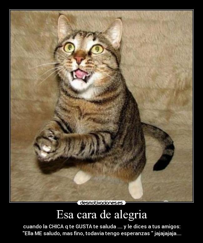 Esa cara de alegria -