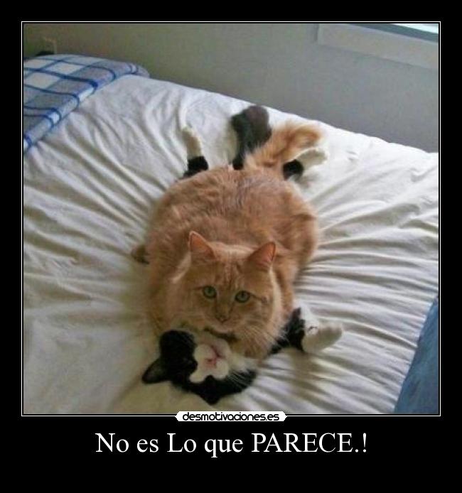 No es Lo que PARECE.! -
