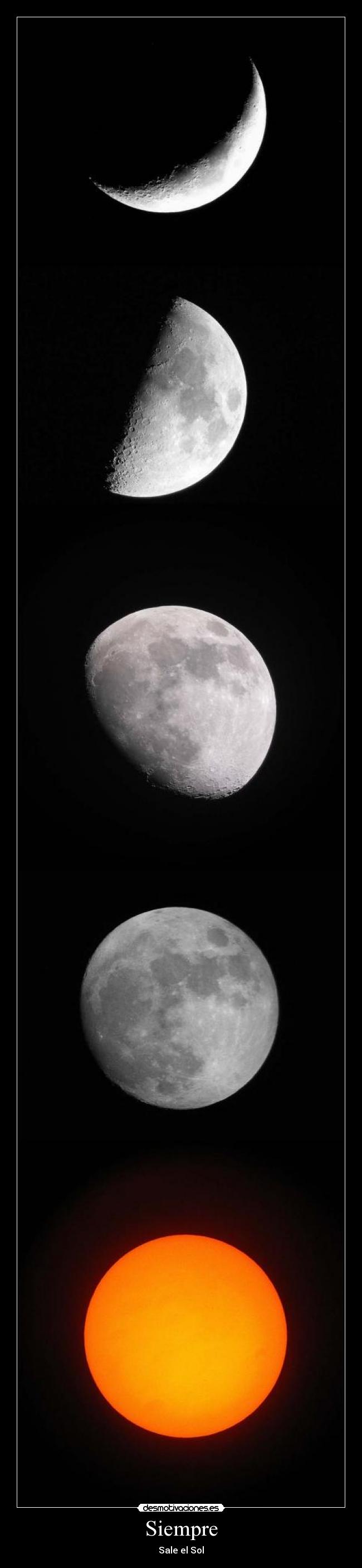 Siempre - Sale el Sol