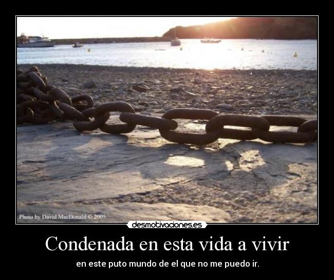 Condenada en esta vida a vivir - 