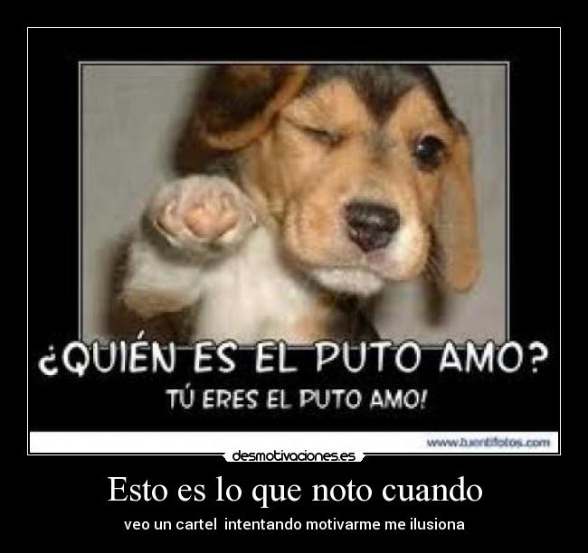 Esto es lo que noto cuando - veo un cartel intentando motivarme me ilusiona