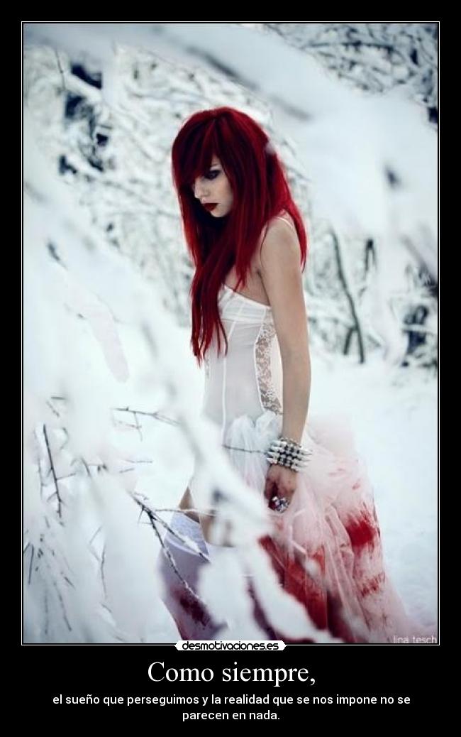 carteles merysu desmotivaciones