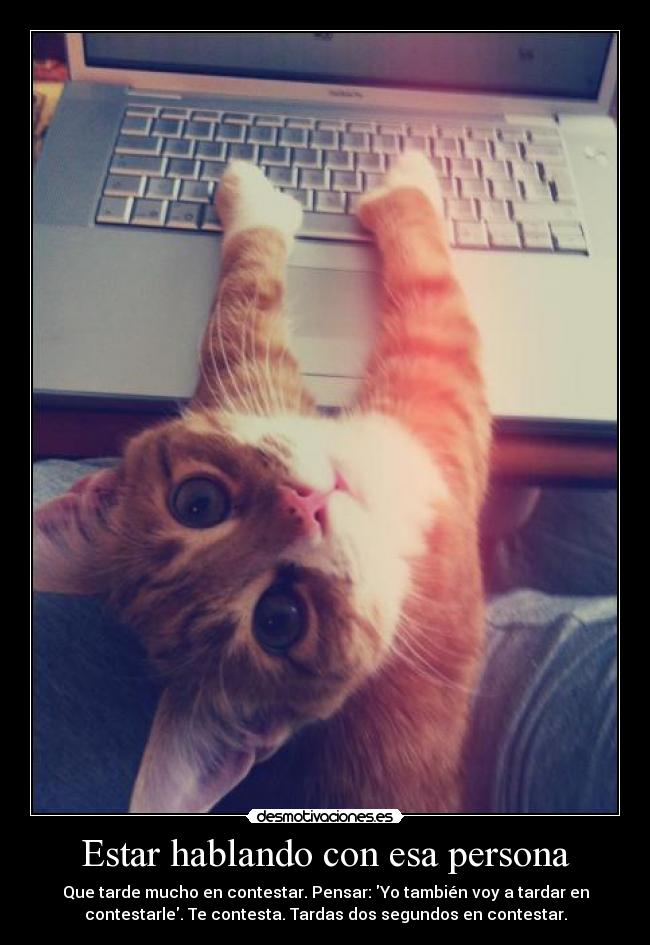 Estar hablando con esa persona -