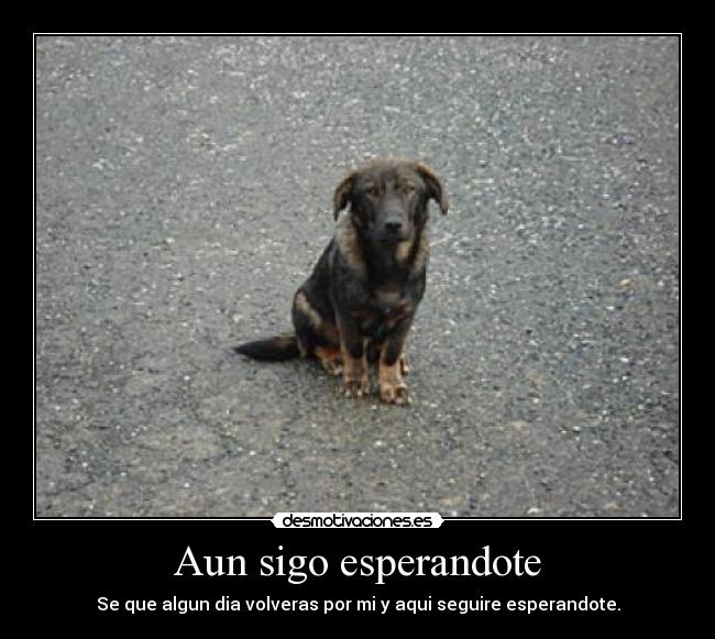 Aun sigo esperandote - 
