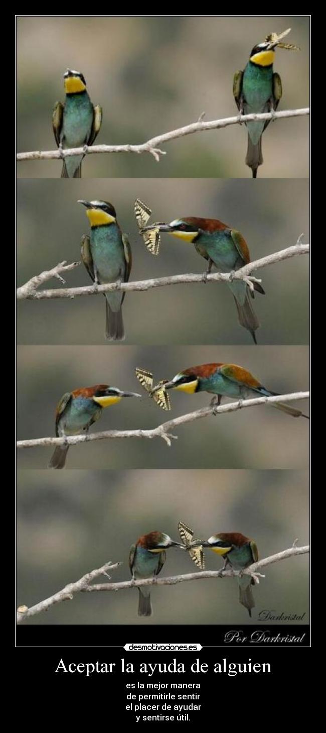 Aceptar la ayuda de alguien - 