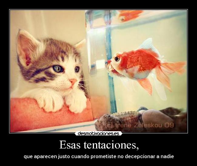 Esas tentaciones, - que aparecen justo cuando prometiste no decepcionar a nadie