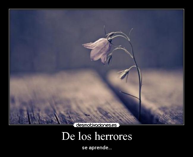 De los herrores -