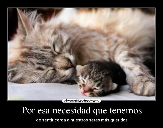 Por esa necesidad que tenemos - 