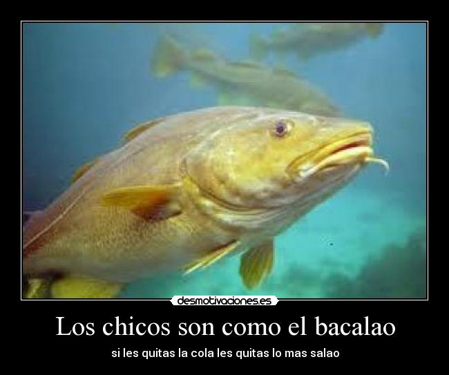 Los chicos son como el bacalao - si les quitas la cola les quitas lo mas salao