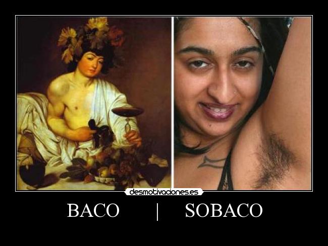 BACO       |     SOBACO - 