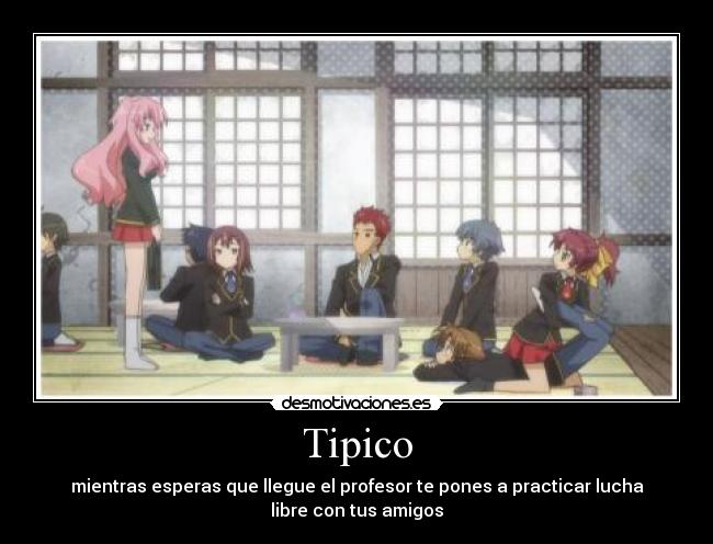 Tipico - 