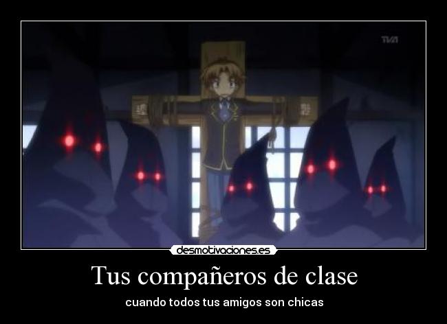 Tus compañeros de clase - 