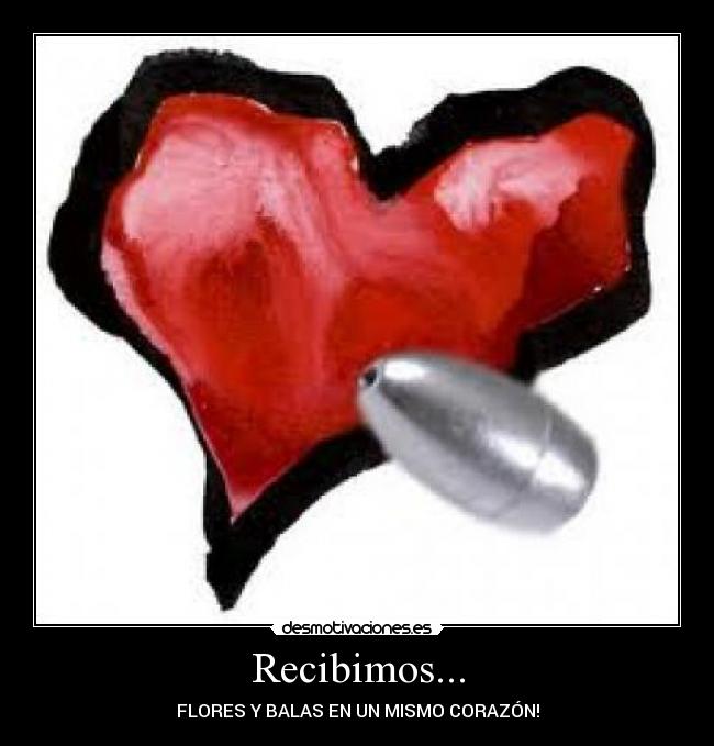 Recibimos... - FLORES Y BALAS EN UN MISMO CORAZÓN!