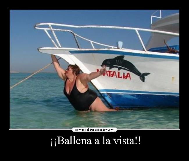 ¡¡Ballena a la vista!! - 