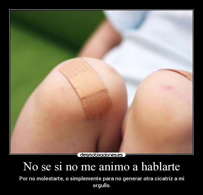 No se si no me animo a hablarte - 