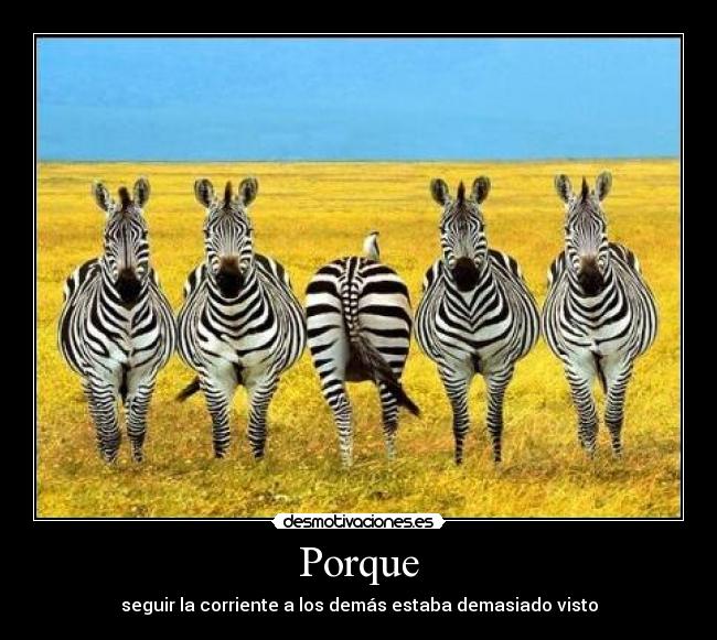 Porque - 