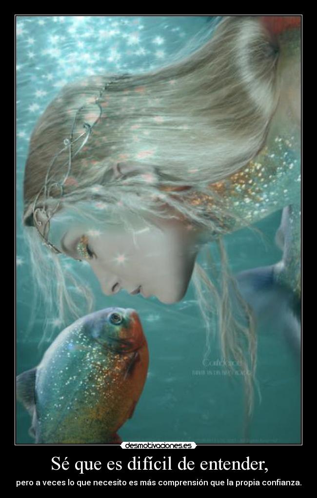 carteles hush hush necesito que comprendan lerelere jeje todo diverjoso desmotivaciones