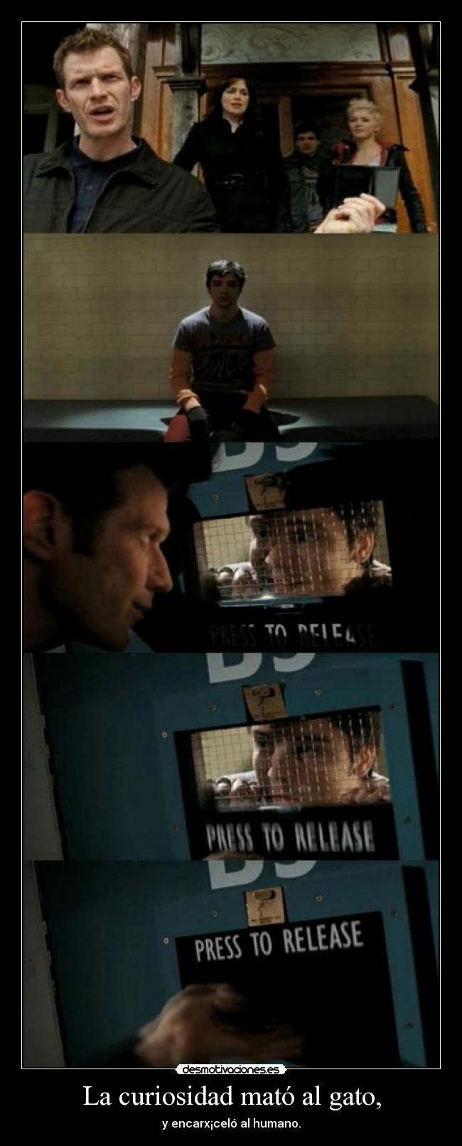 La curiosidad mató al gato, - y encarx¡celó al humano.