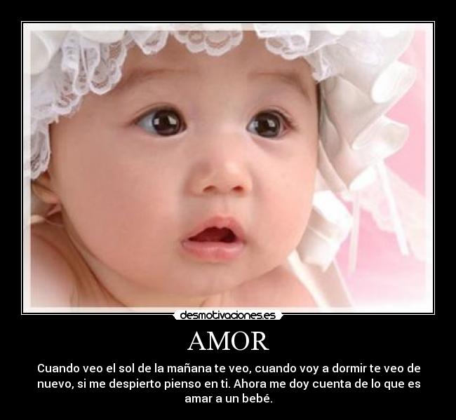 AMOR - 